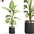  Botanical Bundle 664, High-Poly Greenery 3D model small image 1
