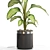  Botanical Bundle 664, High-Poly Greenery 3D model small image 2
