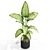  Botanical Bundle 664, High-Poly Greenery 3D model small image 3