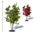 City Maple Trees with Grate 3D model small image 1