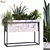 Modern Interior Plant Box Set 3D model small image 1