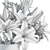 3D Yellow Lilies Bouquet Model 3D model small image 7