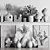 Elegant Decor Set26 - 2015 3D model small image 5