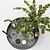 Elegant Interior Decor Set 014 3D model small image 3