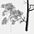 Variabilis Quercus Tree Models Set 3D model small image 4