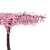 Sakura Tree 3000mm Height 3D model small image 3