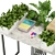 Sleek Pothos Plant 3D Model 3D model small image 4