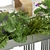 Sleek Pothos Plant 3D Model 3D model small image 5