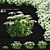 Sedum Spectabile Stardust Set 3D model small image 1