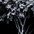 Amelanchier Lamarckii Tree 3D Model 3D model small image 3