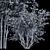 Premium Amelanchier Lamarckii Bush 3D Model 3D model small image 3