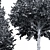 Detailed Carpinus Betulus Tree Model 3D model small image 4