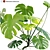 Tropical Plant 3D Model Set 3D model small image 2