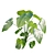 Tropical Plant 3D Model Set 3D model small image 4