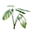 Tropical Plant 3D Model Set 3D model small image 5