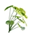 Tropical Plant 3D Model Set 3D model small image 7