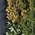 Modern Vertical Plant Set 313 3D model small image 2