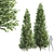 High Detail Carpinus Betulus Tree 3D model small image 1