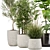 Modern Indoor Plant Set 32 3D model small image 2