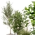 Modern Indoor Plant Set 32 3D model small image 3