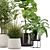 Modern Indoor Plant Set 32 3D model small image 4