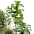 Modern Indoor Plant Set 32 3D model small image 5