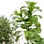 Modern Indoor Plant Set 32 3D model small image 6