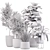Modern Indoor Plant Set 32 3D model small image 7