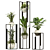 Modern Indoor Plant Collection 3D 3D model small image 1