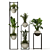 Modern Indoor Plant Collection 3D 3D model small image 2