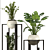 Modern Indoor Plant Collection 3D 3D model small image 5