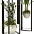 Modern Indoor Plant Collection 3D 3D model small image 6