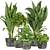 Quality Indoor Plant Collection - Monstera, Peace Lily, Pothos 3D model small image 1