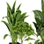 Quality Indoor Plant Collection - Monstera, Peace Lily, Pothos 3D model small image 2