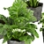 Quality Indoor Plant Collection - Monstera, Peace Lily, Pothos 3D model small image 5