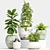 Modern Planter Set 3D Model 3D model small image 4