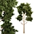 Majestic Pine Tree 3D Model 3D model small image 1