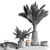  Rustic Plant and Vase Décor 3D model small image 5
