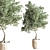 Modern Indoor Plant Set 3D model small image 2
