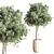 Modern Indoor Plant Set 3D model small image 3