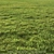 Flat Grass Pack: 14 Patterns 3D model small image 1