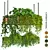 "Modern Indoor Plants Collection Pack 3D model small image 1