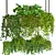 "Modern Indoor Plants Collection Pack 3D model small image 2