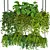 "Modern Indoor Plants Collection Pack 3D model small image 3