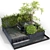 Enchanting Pond with Fish & Flora 3D model small image 1