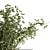 Exquisite Vase Plant Set 119 3D model small image 3