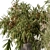 Indoor Tree Plant Set w/ Pot 3D model small image 3