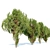 Chinese Thuja Tree Pair 3.3m 3D model small image 2