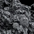 Detailed Sambucus Nigra Plant Models 3D model small image 5