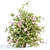  Blooming Bushes Pack Vol. 108 3D model small image 5